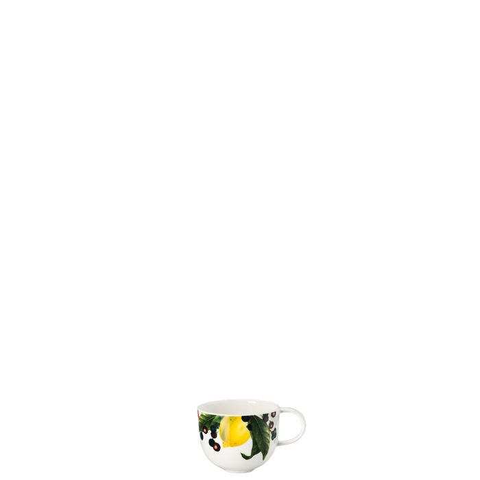 Чашка для эспрессо 0,08 л Brillance Rosenthal