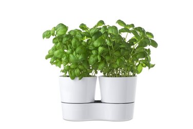 Двойной горшок для растений Nordic Green Hydro Herbs Mepal